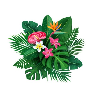 奇异的花和叶