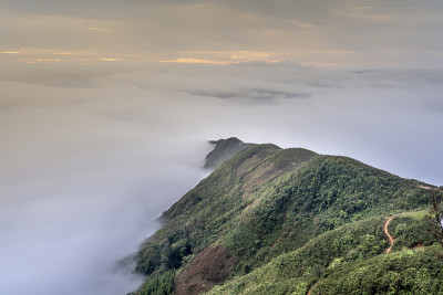 美丽的风景，雾和山在塔学，桑拉，越南