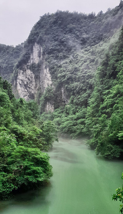 大峡谷玻璃桥徒步旅行，武陵源-张家界，中国