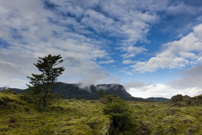 在智利南部的维拉里卡火山徒步旅行