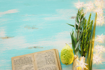 犹太人住棚节。传统符号(四种):Etrog(香橼)、lulav(棕榈枝)、hadas(桃金娘)、ar