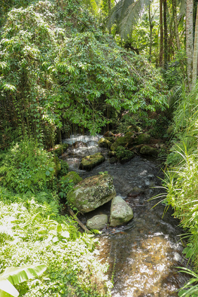 巴基斯坦河谷的河床，有湍急的水流和巨石。在坦帕克西林一个葬礼中心，水流在河床的岩石上翻滚。印尼巴厘岛