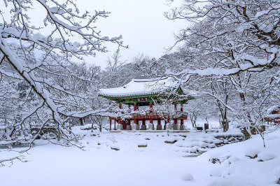白江寺和落雪，najang山。