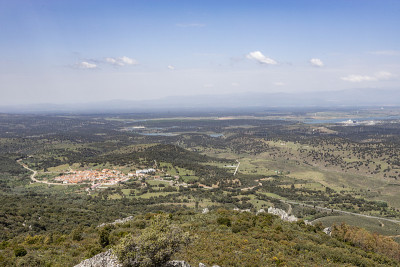 帕莫拉景色的extremadura dehesa