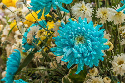 花