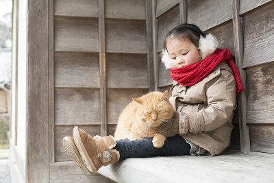 小女孩在和猫玩