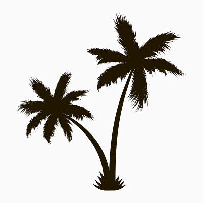 棕榈树轮廓。现实的热带植物。向量