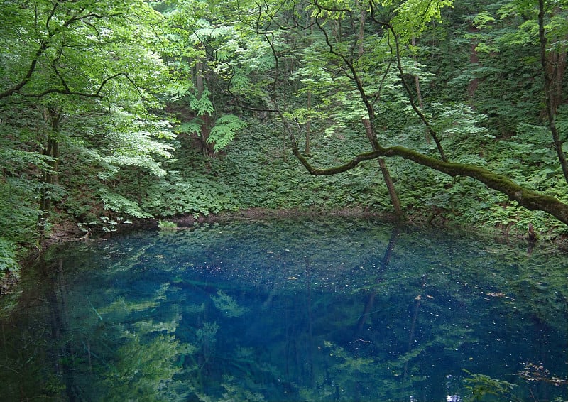 苍池在白上