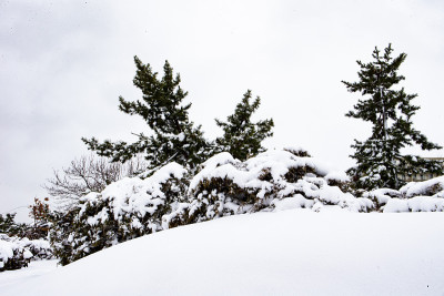 暴风雪2021