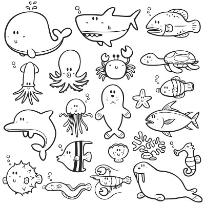 海洋动物