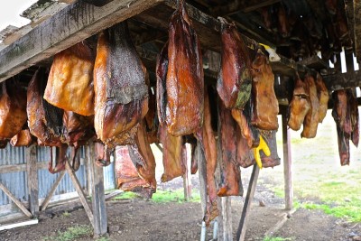 格陵兰鲨鱼肉