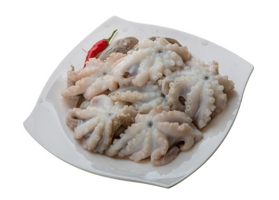 生的章鱼