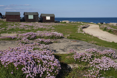 波特兰海滩小屋与埃斯特和节俭