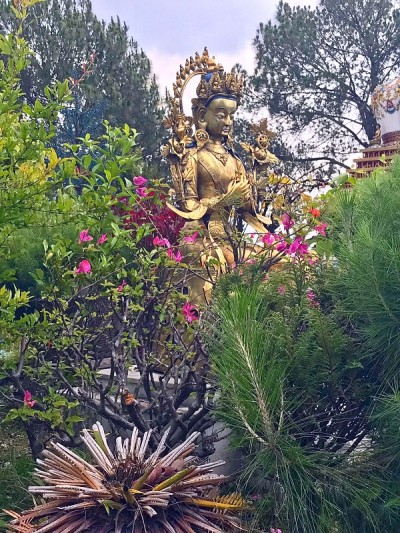 尼泊尔加德满都郊区Kopan藏传佛教寺院的一座美丽的花园，里面有金佛。