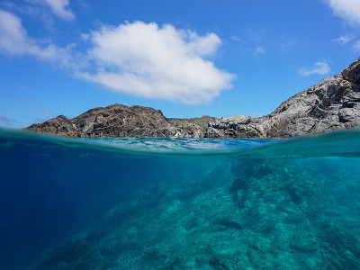 海岸线岩石水下地中海西班牙