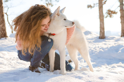 一个卷发的女孩和一只白色的秋田犬在白雪覆盖的森林里散步。