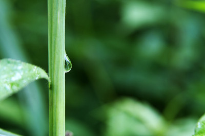 雨滴