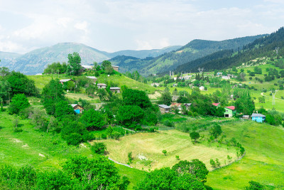 土耳其阿尔特文夏季山地高原