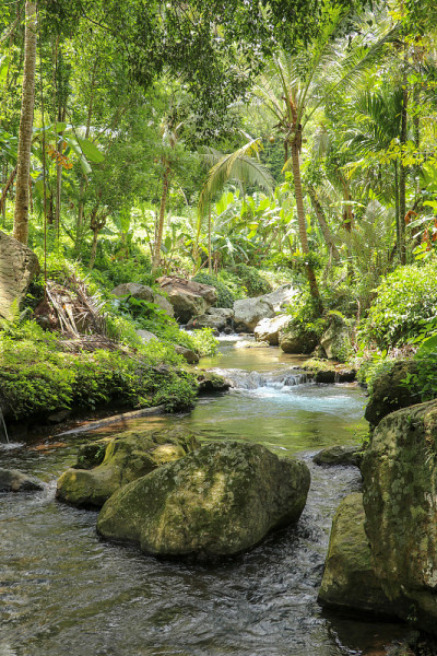 巴基斯坦河谷的河床，有湍急的水流和巨石。在坦帕克西林一个葬礼中心，水流在河床的岩石上翻滚。印尼巴厘岛