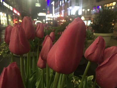 纽约曼哈顿摩天大楼的夜晚。