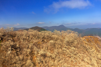 富士火山大浪谷活跃的硫磺喷口