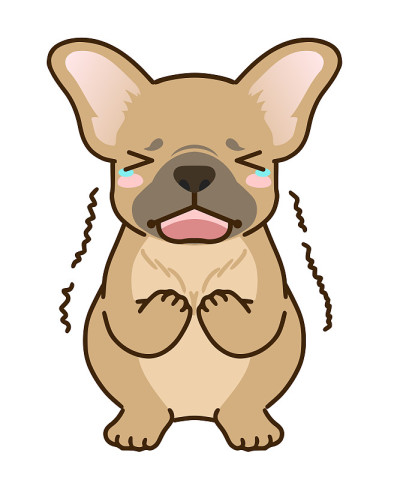 受惊的法国斗牛犬(浅黄色)