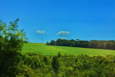 路上的风景