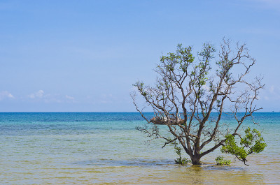 美丽的海滩，泰国海