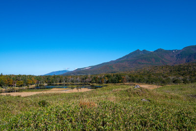 知床湖(知床五湖)第一湖和知床山的秋叶，知床，北海道，日本