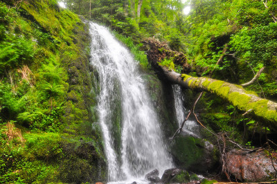 丛林景观与流动的红色瀑布在热带雨林深处。国家公园老山，塞尔维亚