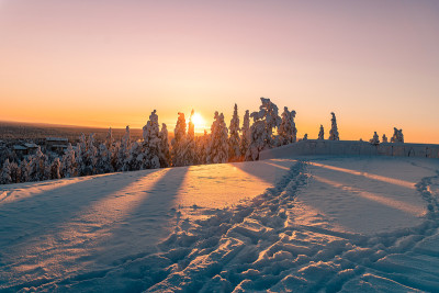 夕阳下的雪景，芬兰拉普兰冬天结冰的树木