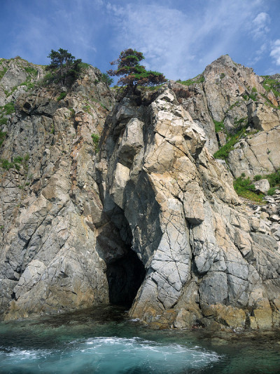 岩石海岸上美丽的岩洞，悬崖上有日本红松