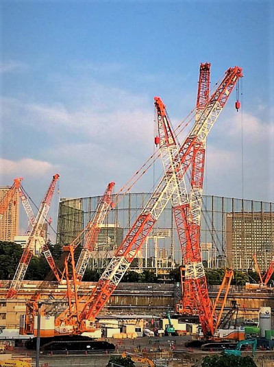 日本东京的鹤