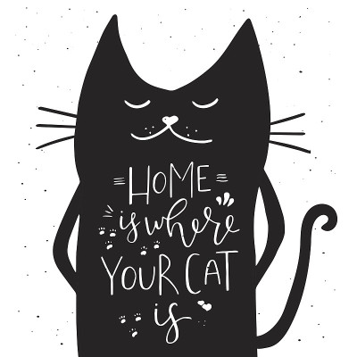 家是哪里你的猫是-手绘制的排版设计。