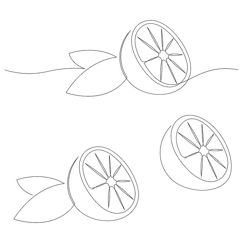 橙色水果插图。一个连续的橙色集线。最小的风格向量