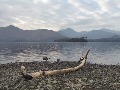浮木上Derwentwater