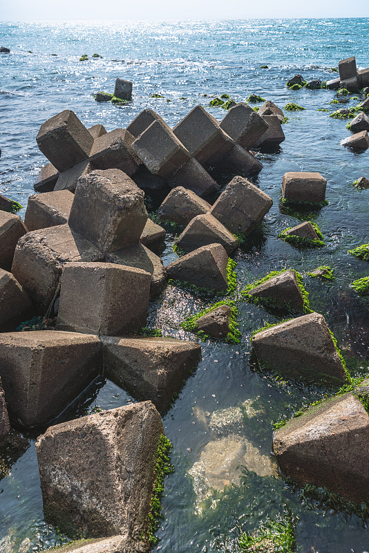 海边海藻和预制混凝土装甲单元