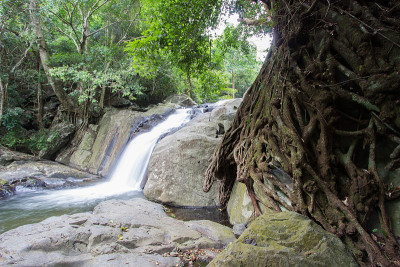 天然纯净在Kaeng Krachan国家公园，Hua Hin,Prachuap Khiri Khan
