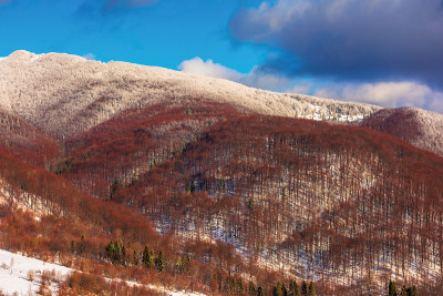 冬天的山景