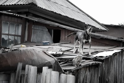 阿尔泰地区鄂毕河上的洪水