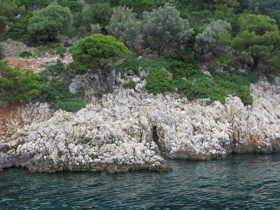 岩石海岸紧挨着大海，有橄榄树