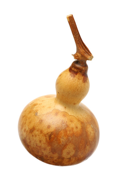 葫芦