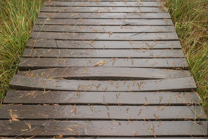 吕内伯格黑德美丽的荒野景观