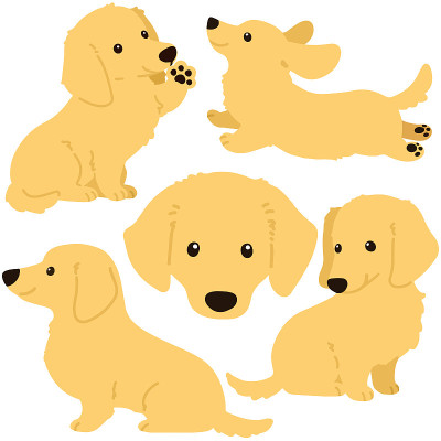 一套平坦的彩色奶油微型腊肠犬插图