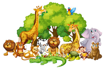Many cute animals in the park