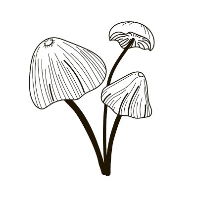 一组以涂鸦风格绘制的三个毒蕈。股票矢量插图孤立的白色背景。