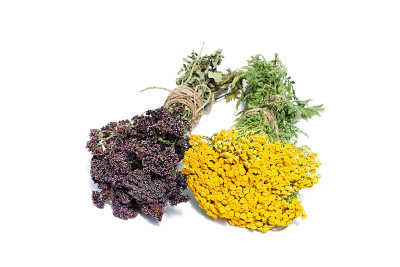 马郁兰，牛至和唐茜孤立在白色背景。干花。