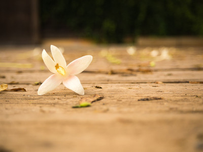 花