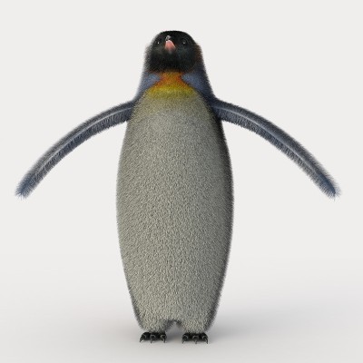 Emperor penguins
