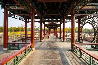 秋天，公园里有中国古建筑的阁楼和银杏树